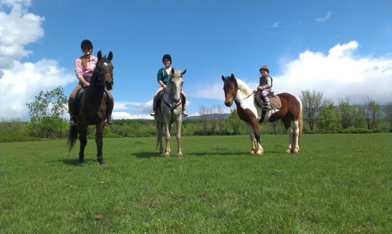 Njivice, Otok Krk, Apartman Dora מראה חיצוני תמונה
